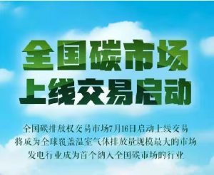 碳汇金融丨助力生态产品价值实现 碳汇保险再创新模式