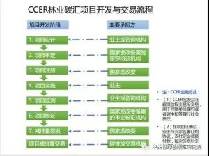 林业碳汇交易的主要误区和关键问题分析