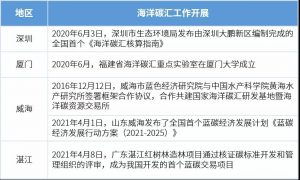 海洋碳汇如何核算经济价值？